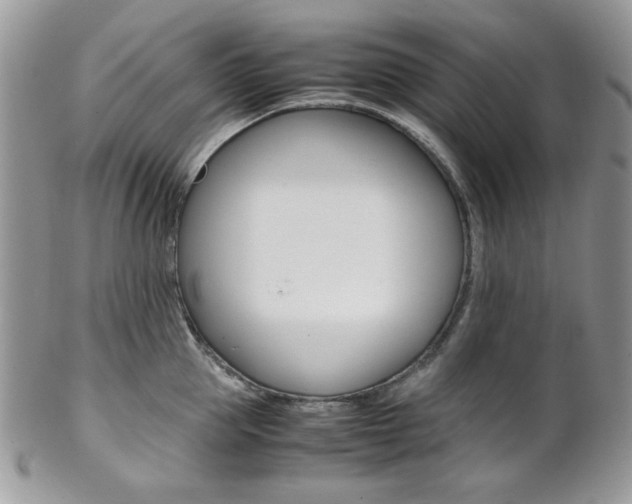 X0000102840953200808181022