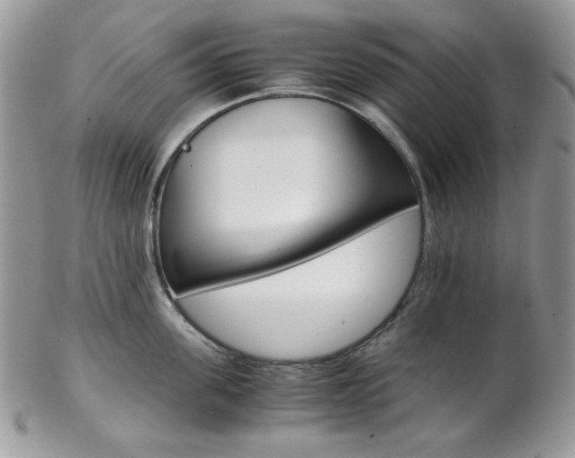 X0000102840955200808181022
