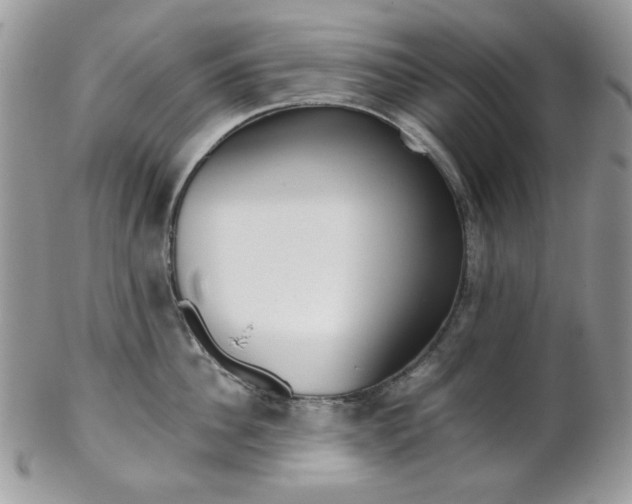 X0000102840956200808181022