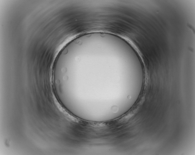 X0000102840957200808181022