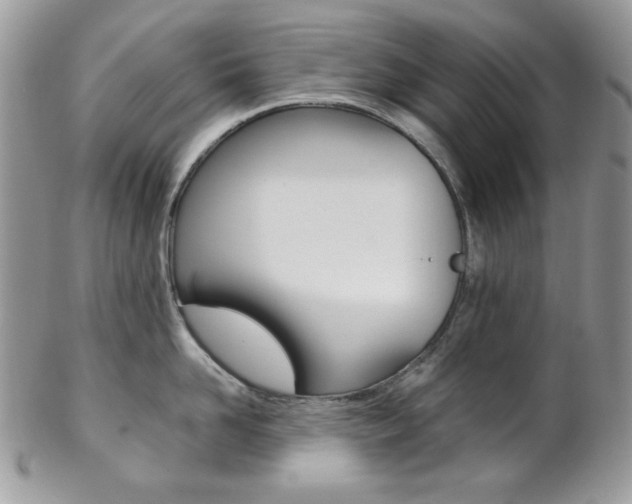 X0000102840958200808181022