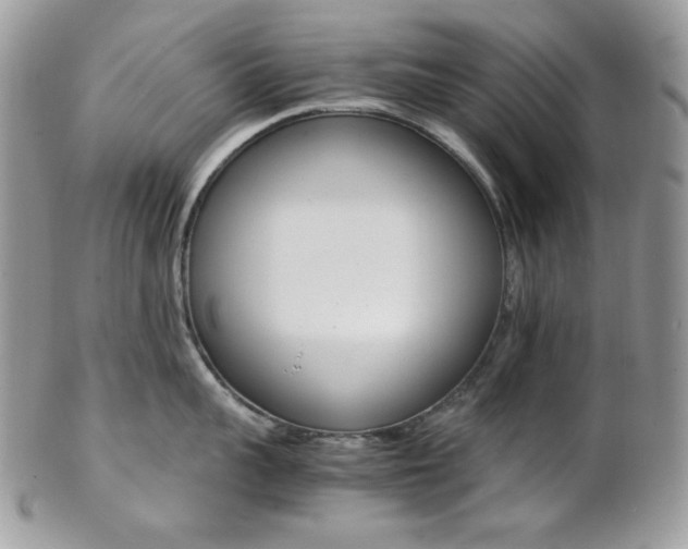 X0000102840959200808181022