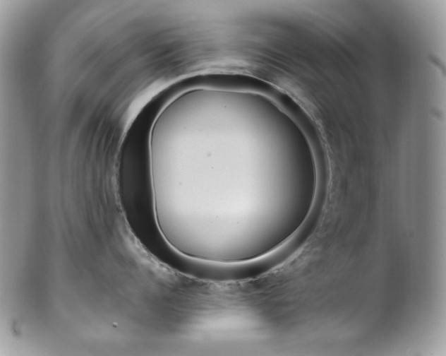 X0000102840960200808181022