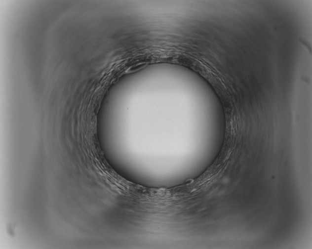 X0000102840961200808181021