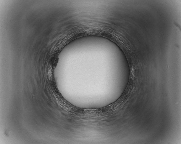 X0000102840963200808181021