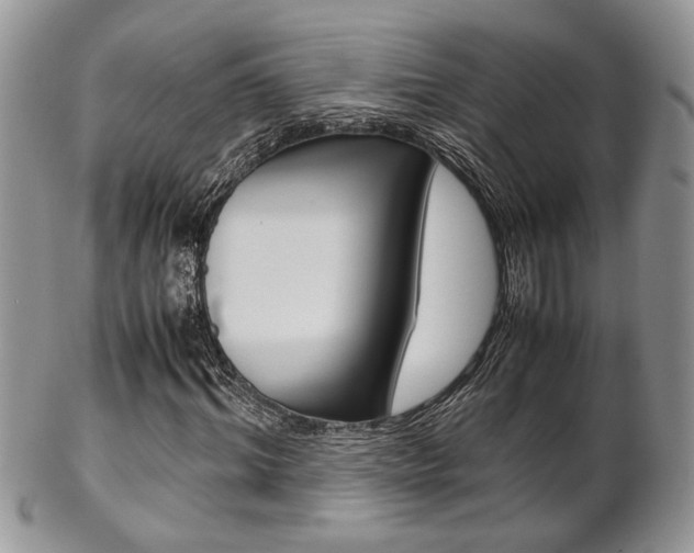 X0000102840964200808181021