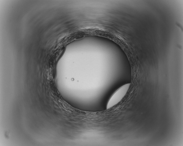 X0000102840965200808181021