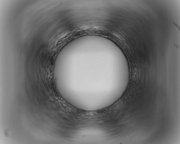 X0000102840966200808181021
