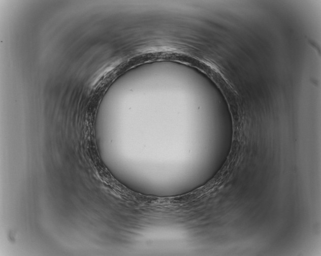 X0000102840967200808181021