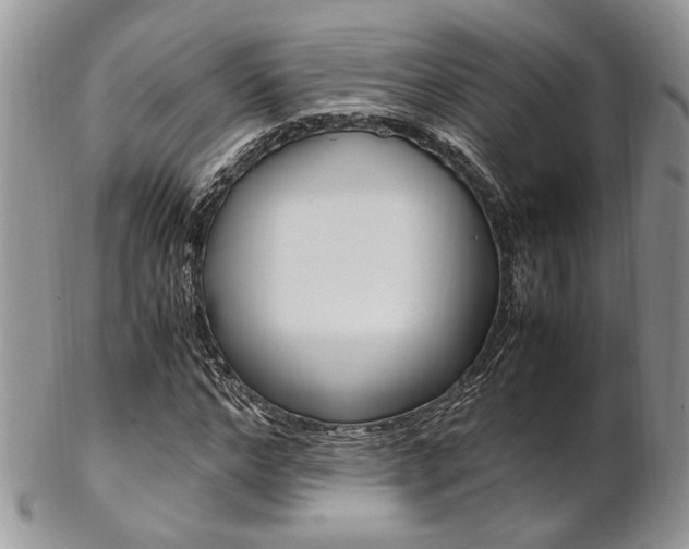 X0000102840968200808181021