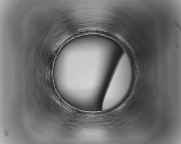 X0000102840969200808181021