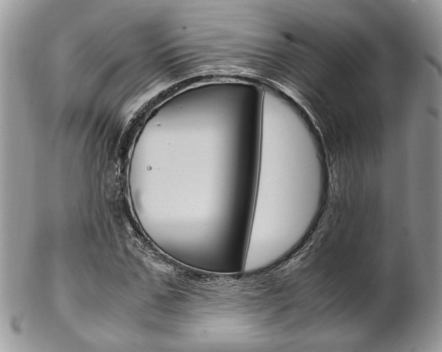 X0000102840971200808181021
