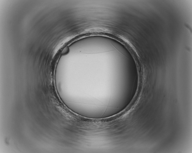 X0000102840973200808181021