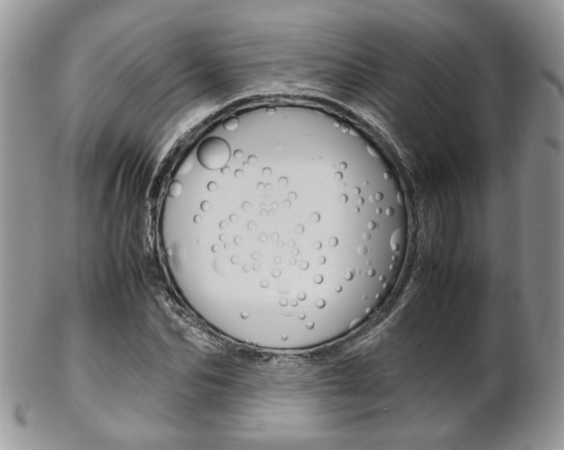X0000102840974200808181021
