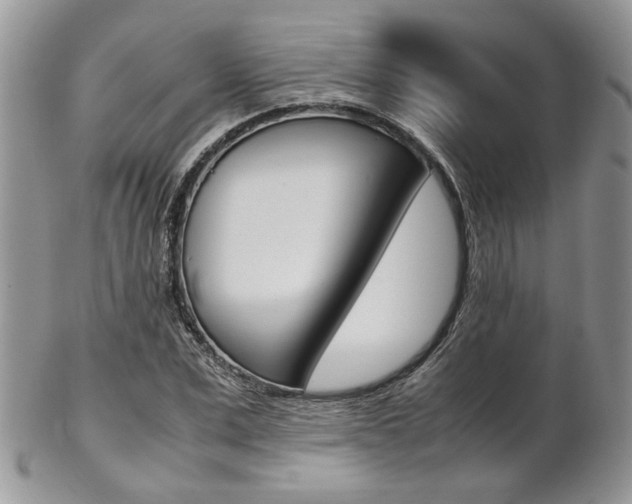 X0000102840975200808181021