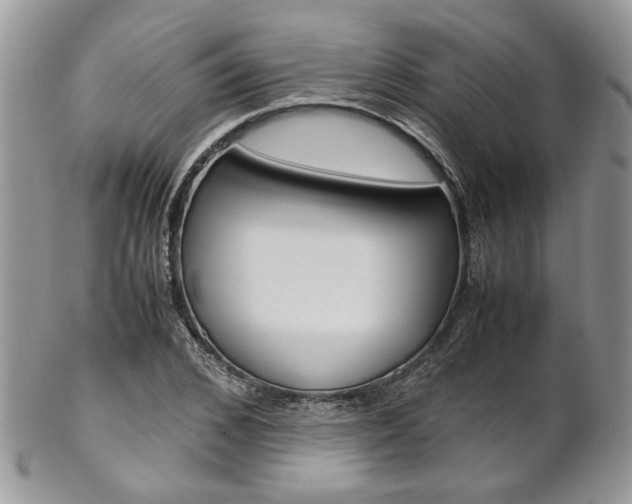 X0000102840976200808181021