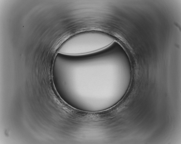 X0000102840977200808181021