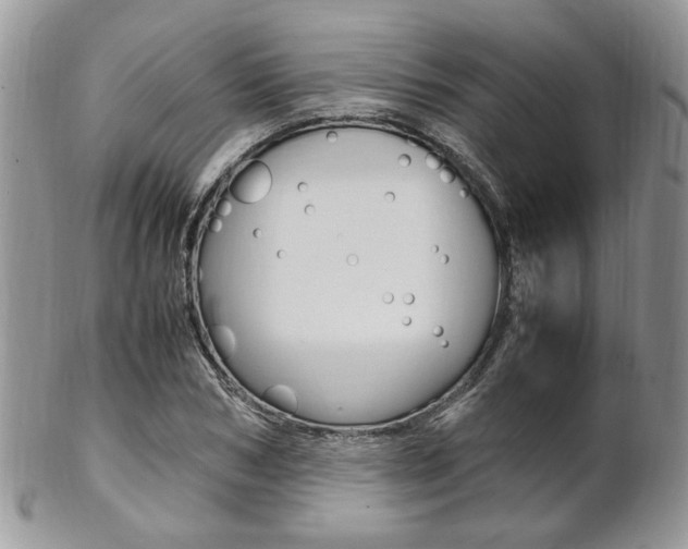 X0000102840978200808181021