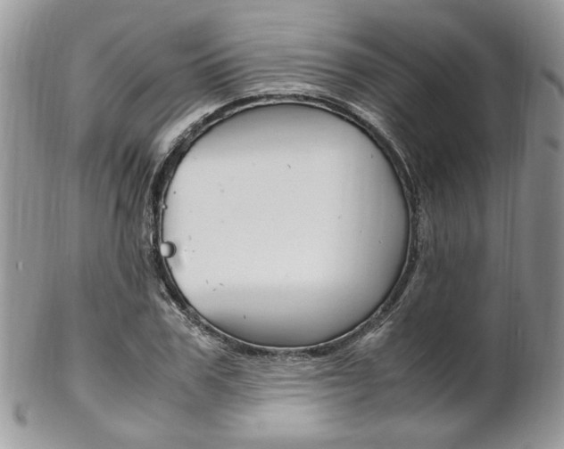 X0000102840979200808181021