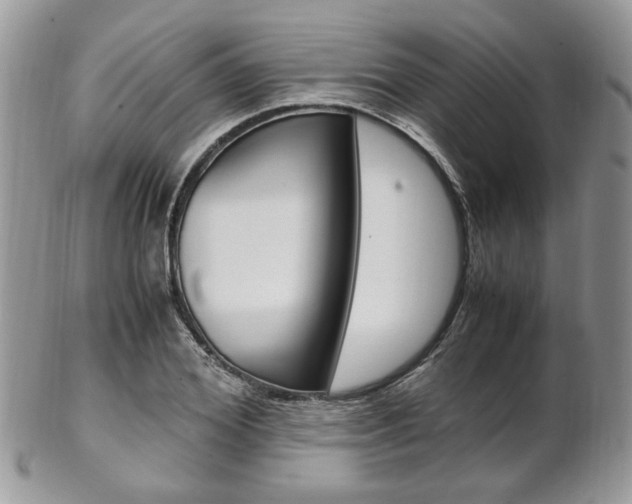 X0000102840980200808181021