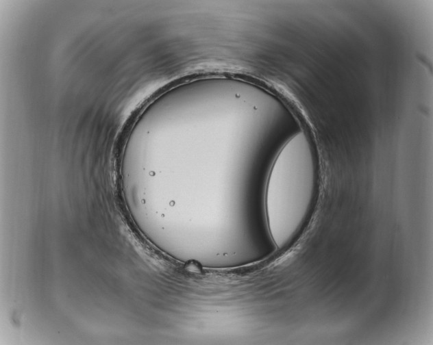 X0000102840981200808181021