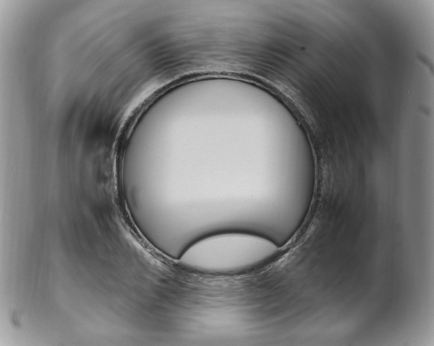 X0000102840982200808181021