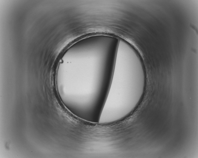 X0000102840983200808181021