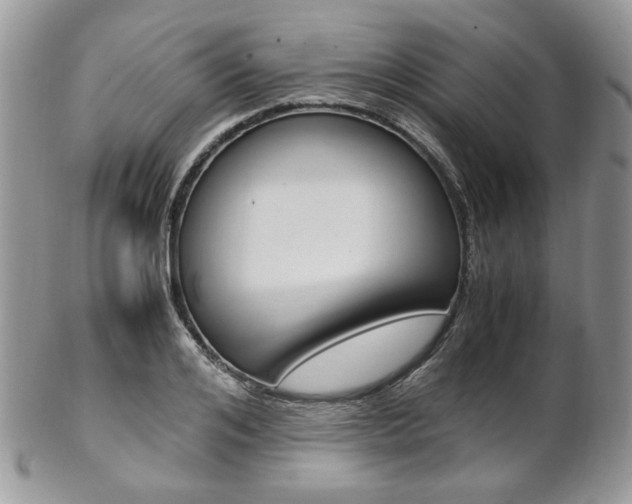 X0000102840984200808181021