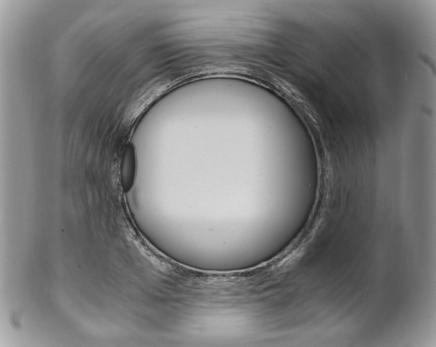 X0000102840985200808181021