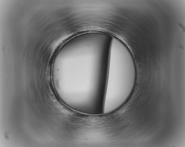 X0000102840987200808181021