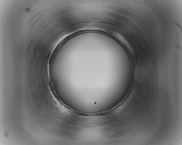 X0000102840988200808181021