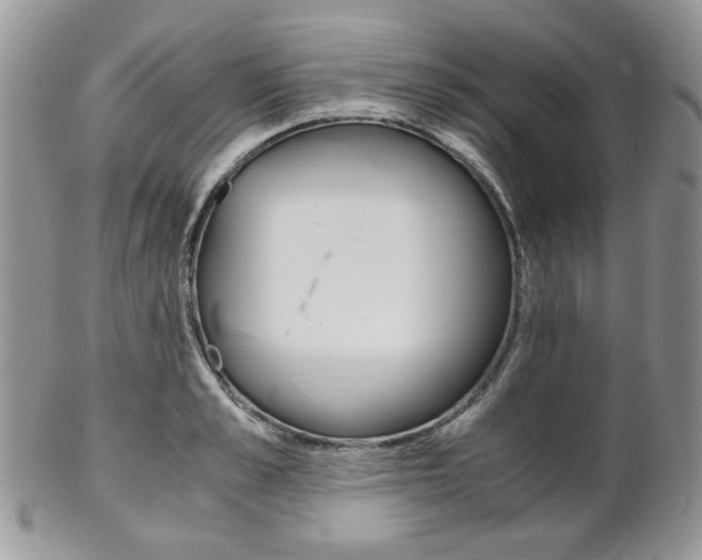 X0000102840989200808181021