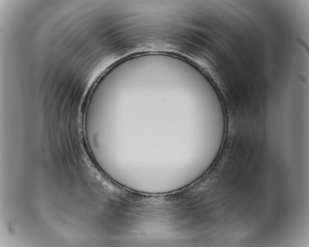 X0000102840990200808181021