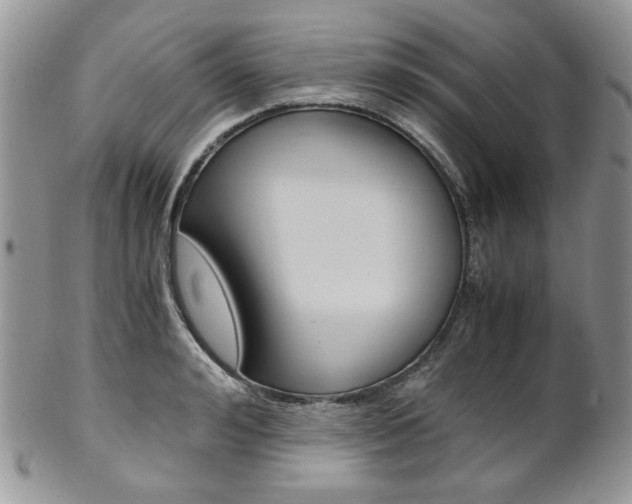 X0000102840992200808181021