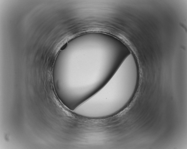 X0000102840993200808181021
