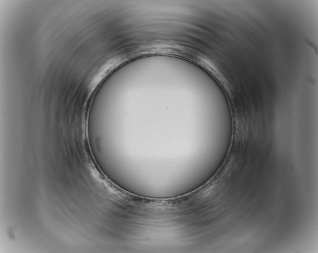 X0000102840994200808181021