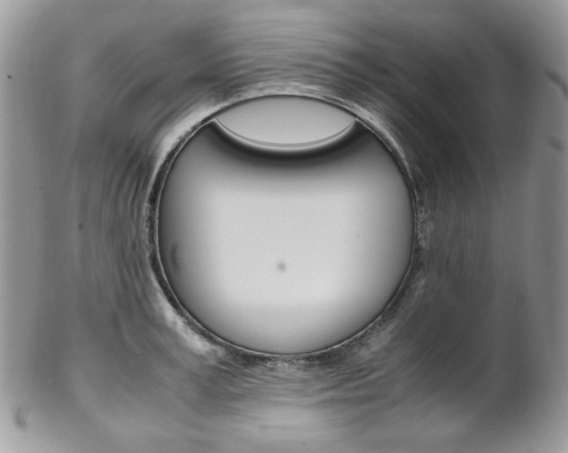 X0000102840995200808181021