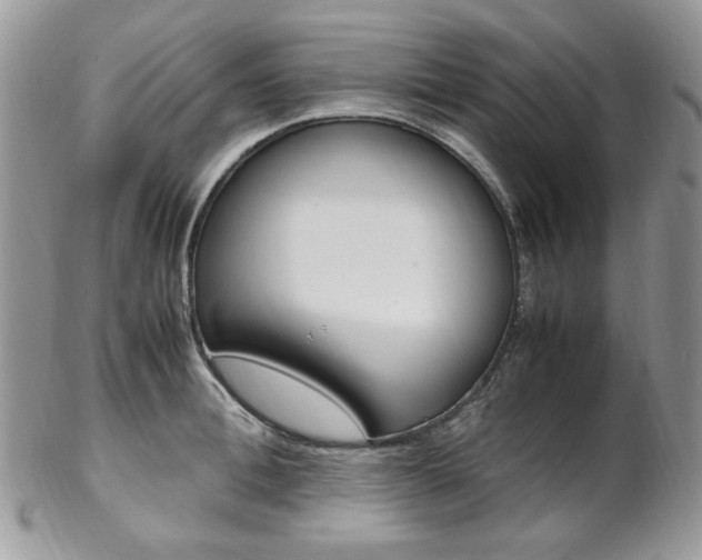 X0000102840996200808181021