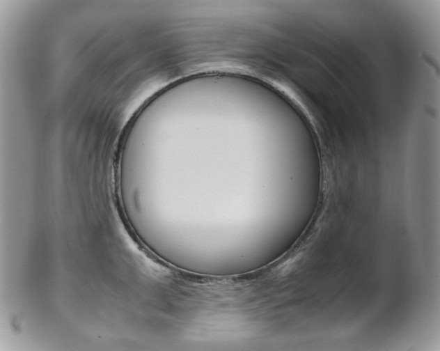 X0000102840999200808181021