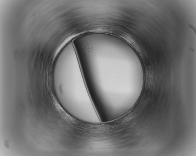 X0000102841000200808181021