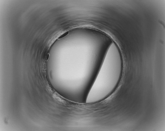 X0000102841001200808181021