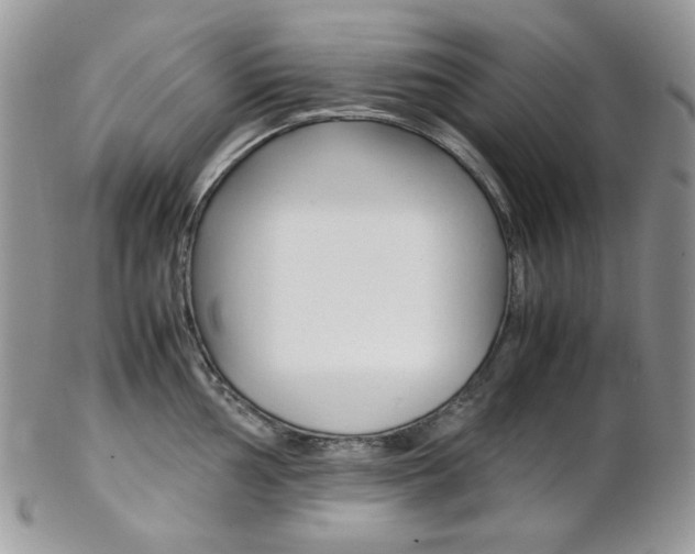 X0000102841002200808181021