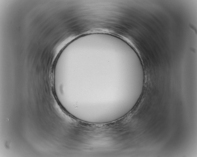 X0000102841003200808181021