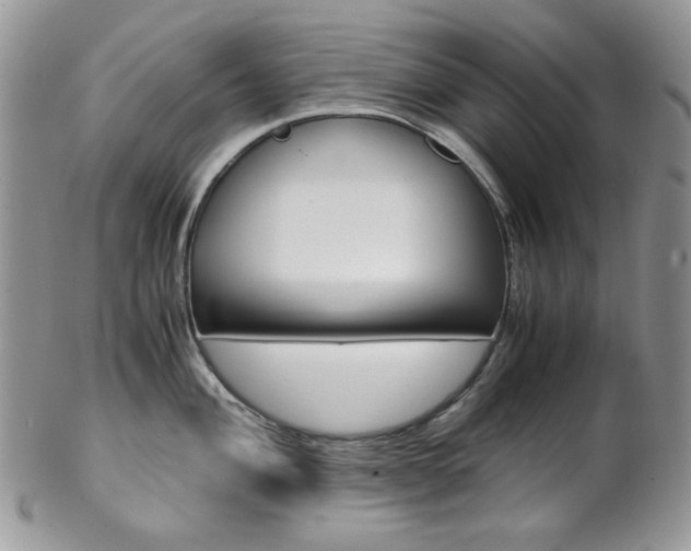X0000102841004200808181021