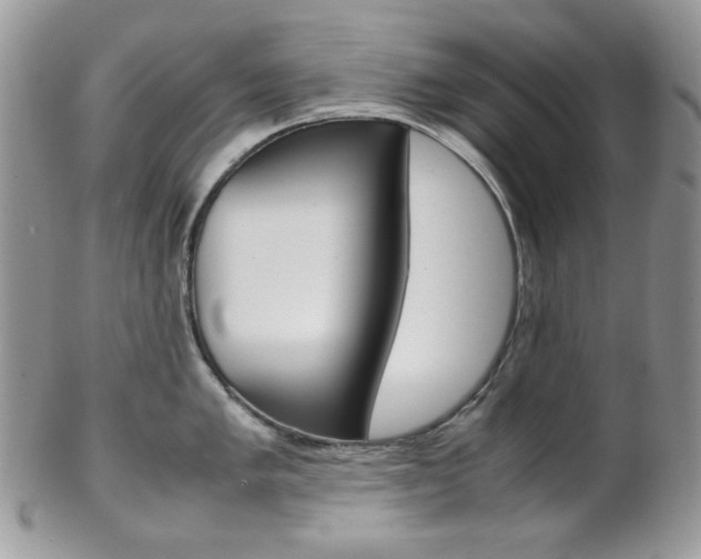 X0000102841005200808181021