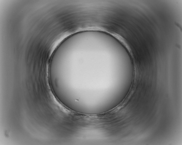 X0000102841006200808181021