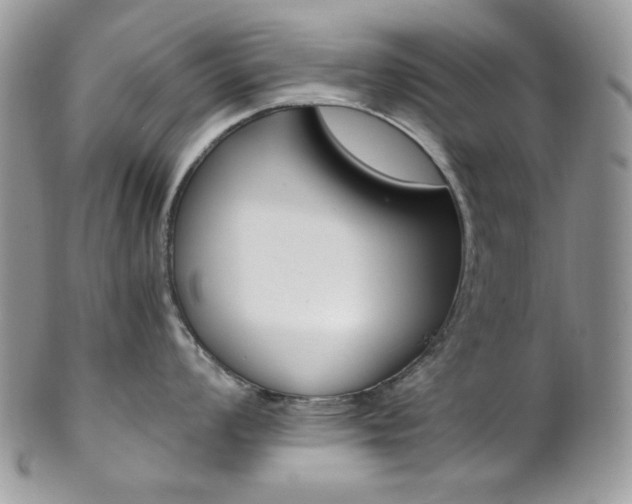 X0000102841008200808181021