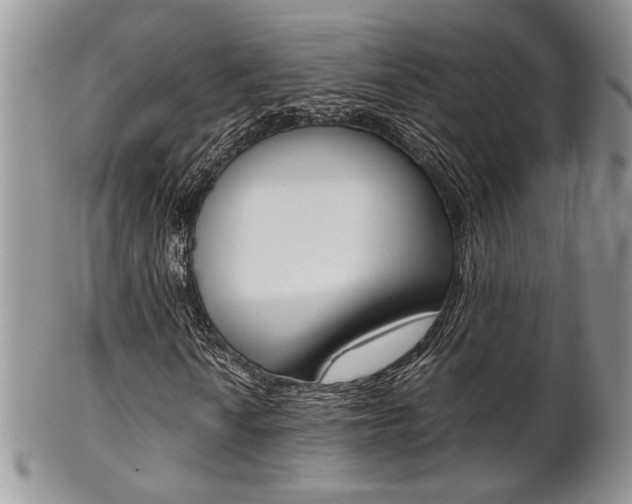 X0000102841010200808181020