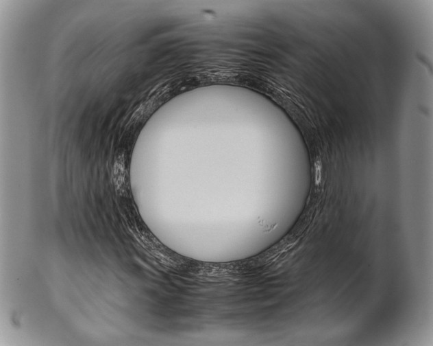 X0000102841011200808181020