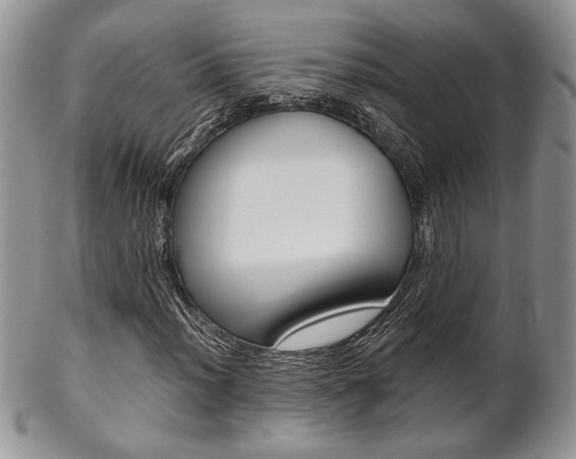 X0000102841012200808181020